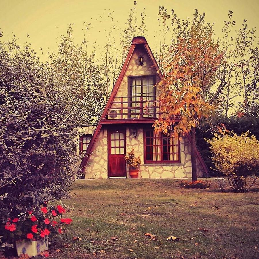 Encinas *